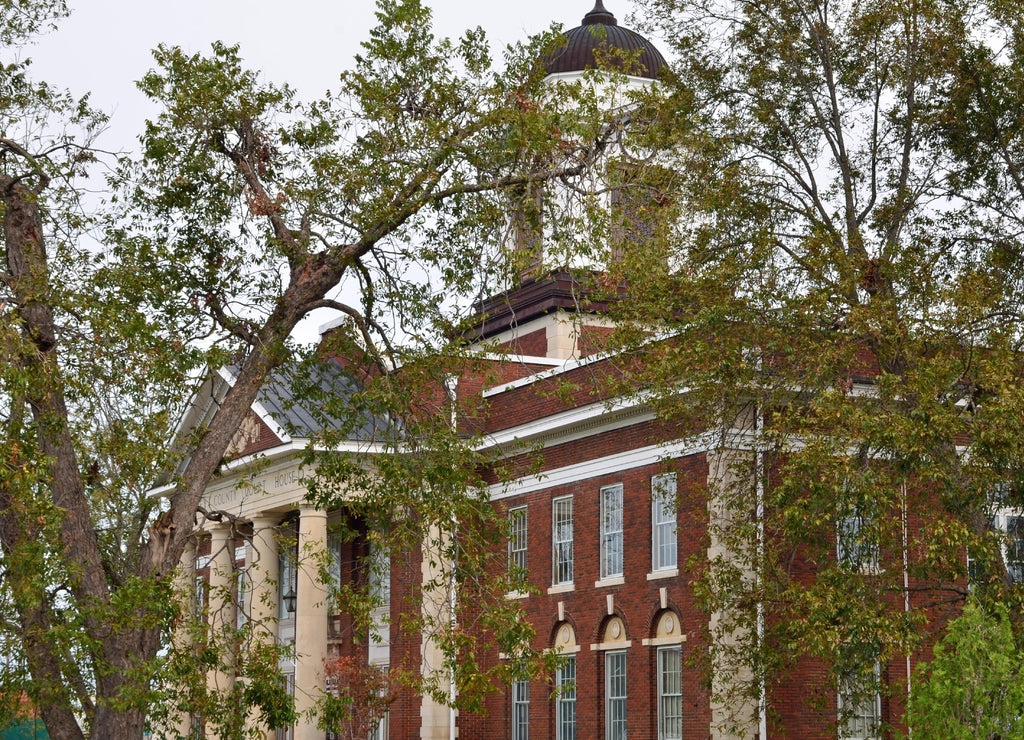 Bleckley County Courthouse in Cochran Georgia