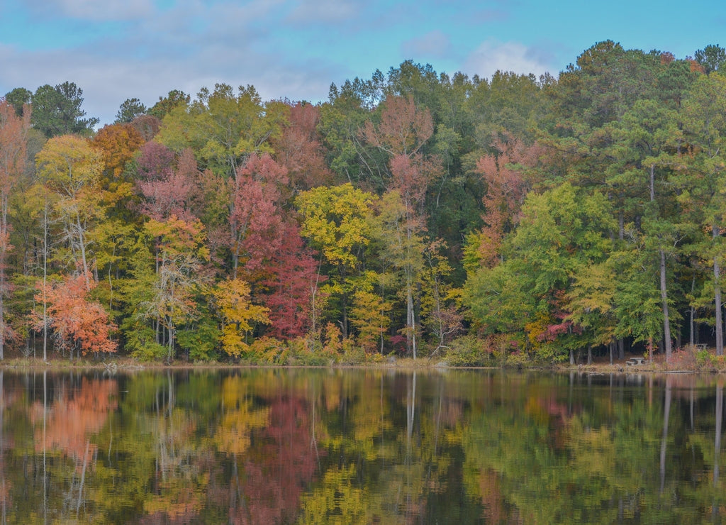 Beautiful Hamburg Lake in Hamburg State Park, Mitchell, Washington County, Georgia