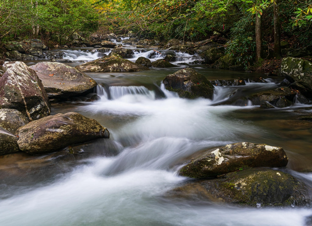 Scenic view of Holly Creek at Emery Creek Trail in Chatsworth, Georgia