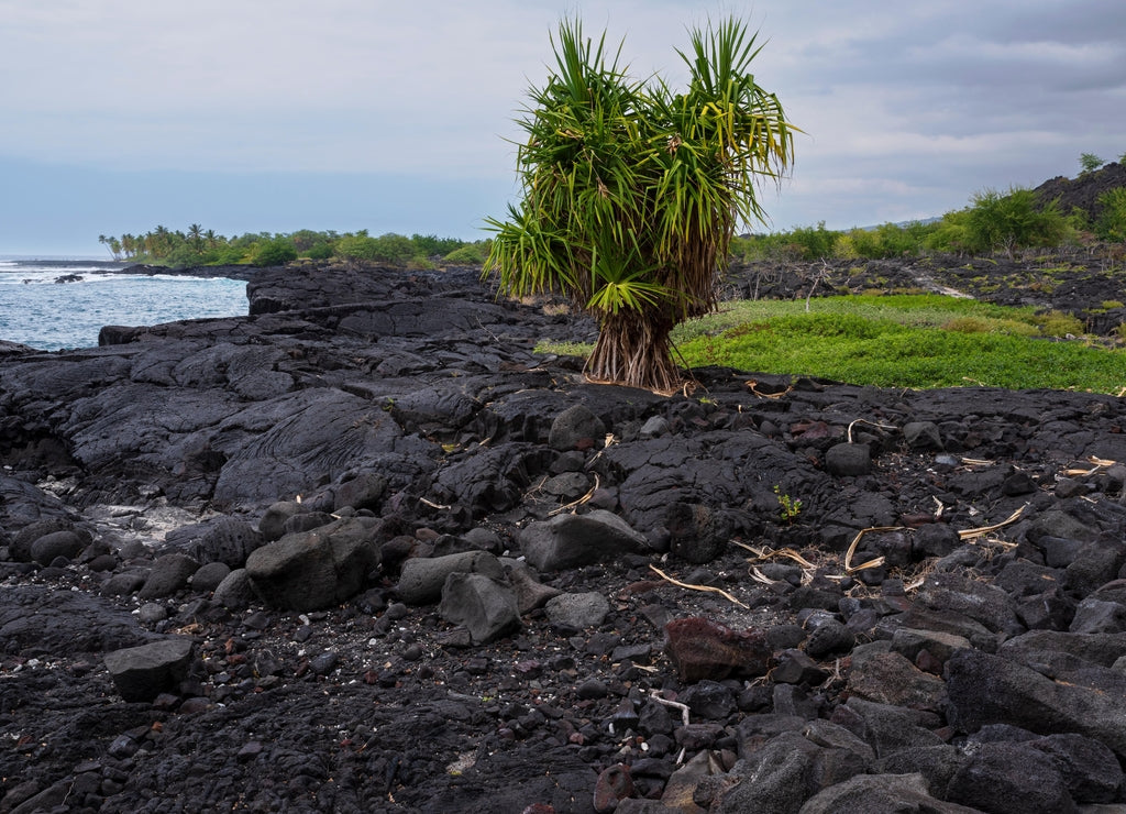 Black lava rock and coastline at Alahaka Bay along Ala Kahakai National Historic Trail South Kona Hawaii