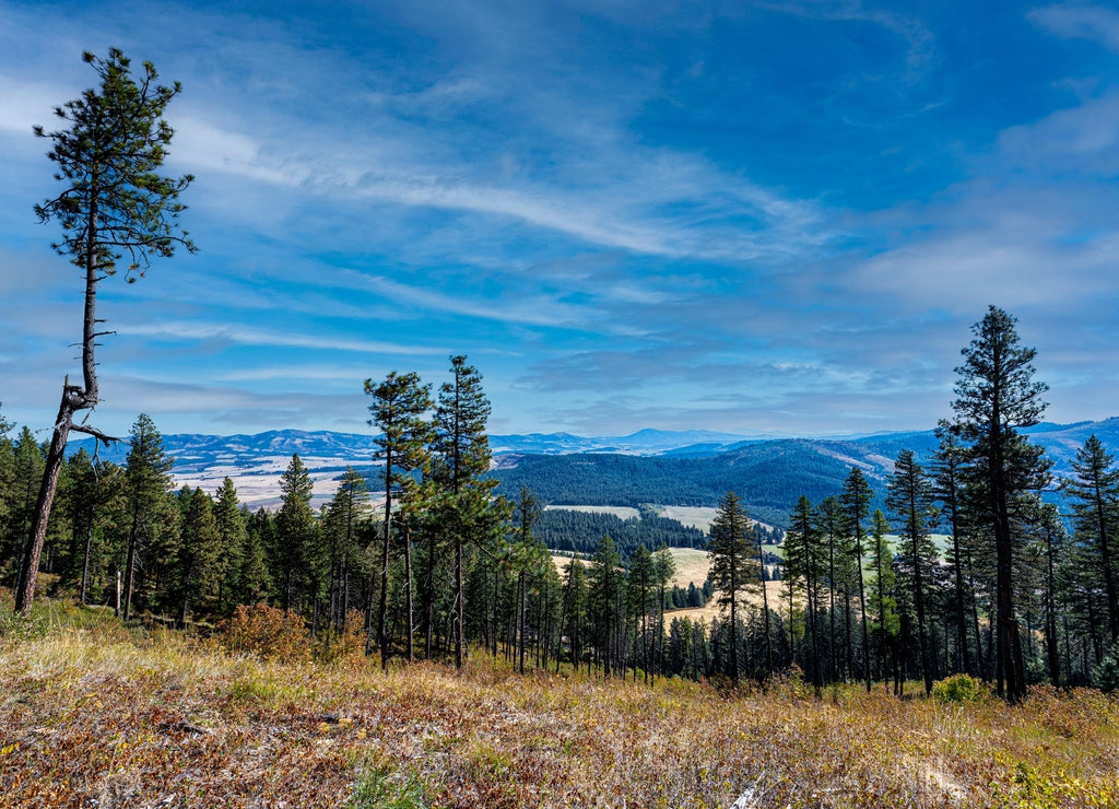 Mary Minerva McCroskey Memorial State Park in Idaho