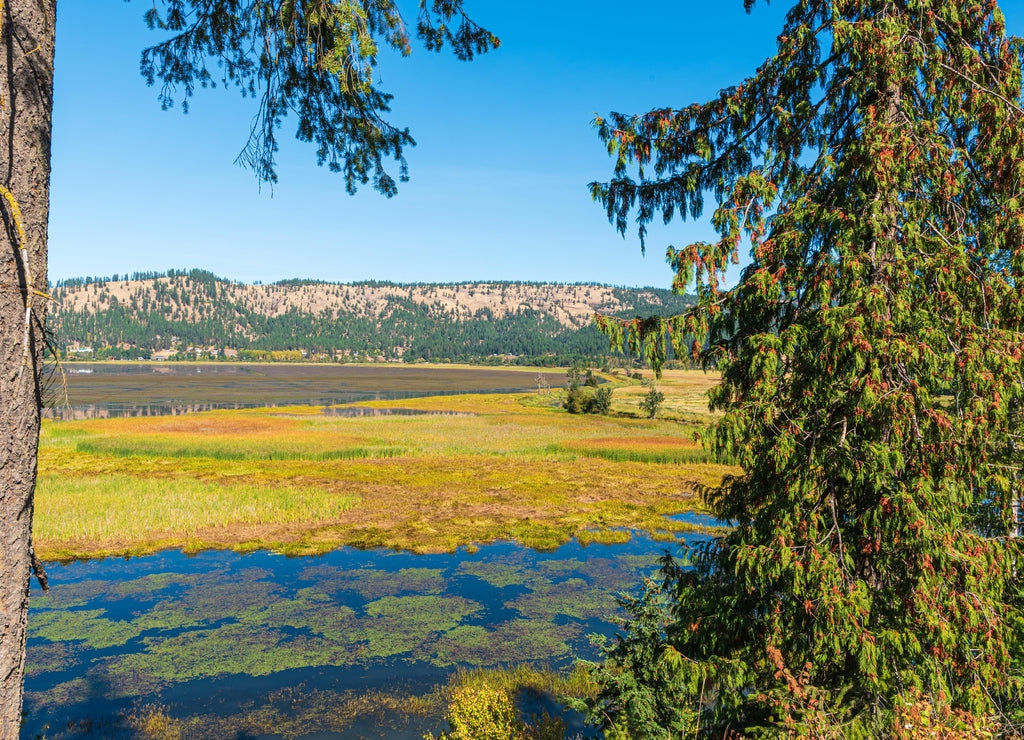 Landscape of the Fall Color in the Saint Joe River Marsh near Saint Maries Idaho