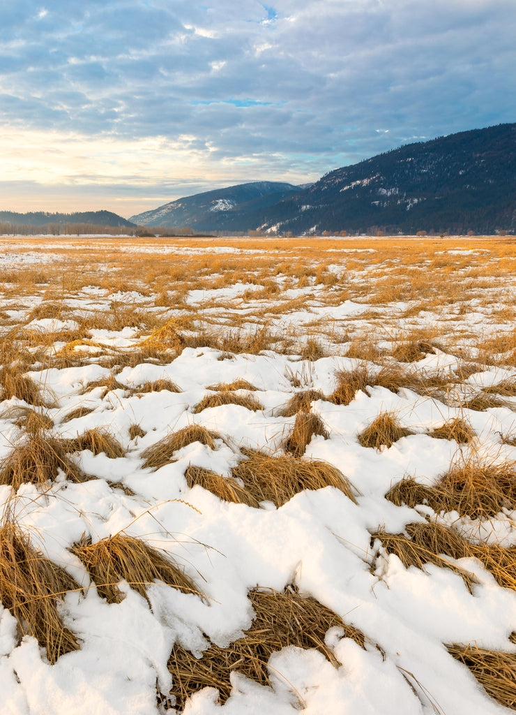 Wide angle winter landscape at Kootenai National Wildlife Refuge Idaho