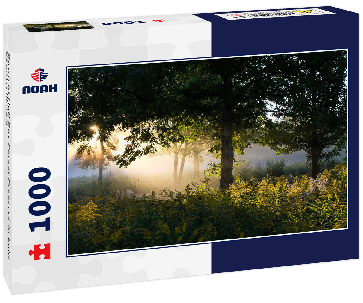 Dawn at Half Day Forest Preserve in Lake County, Illinois