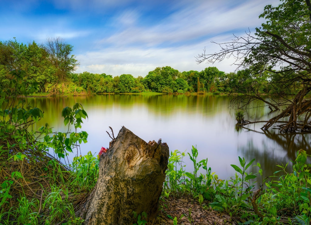Beautiful scene of the Loop Island Wetlands in New Albany Indiana with trees with a blue cloudy sky