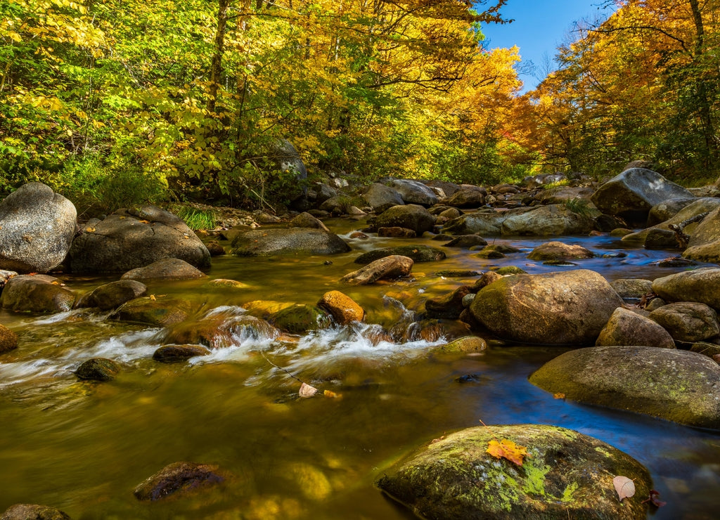 Maine-White Mountian National Forest-Evans Brook