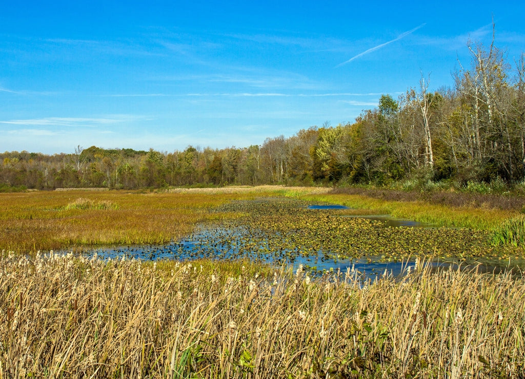 Muscatatuck National Wildlife Refuge in Indiana