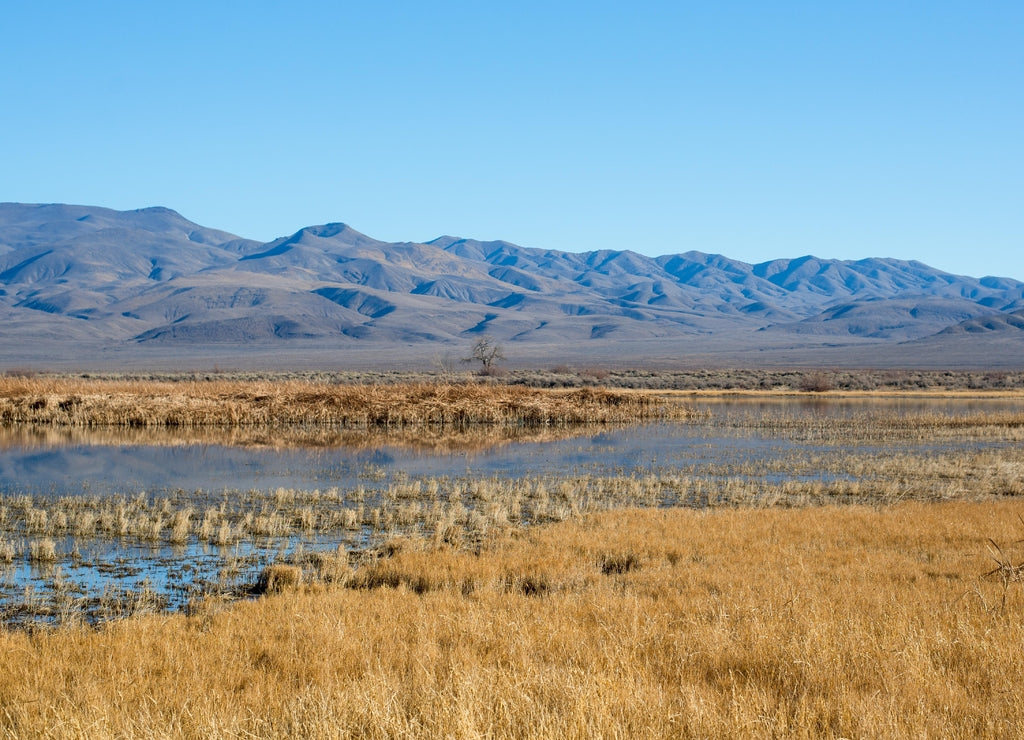 Foxtail Lake Stillwater National Wildlife Refuge