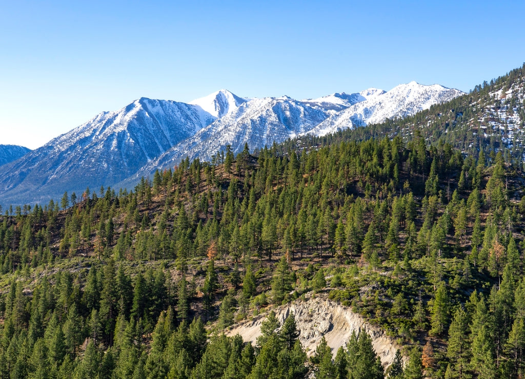 Humboldt Toiyabe National Forest Nevada