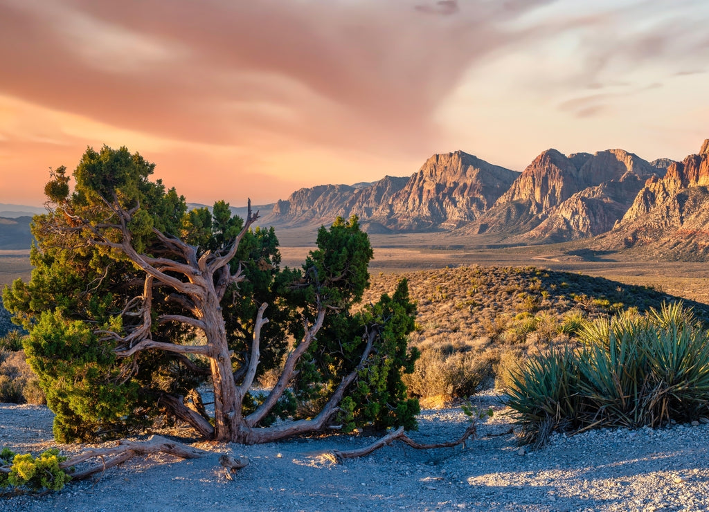Red Rock Canyon, Nevada