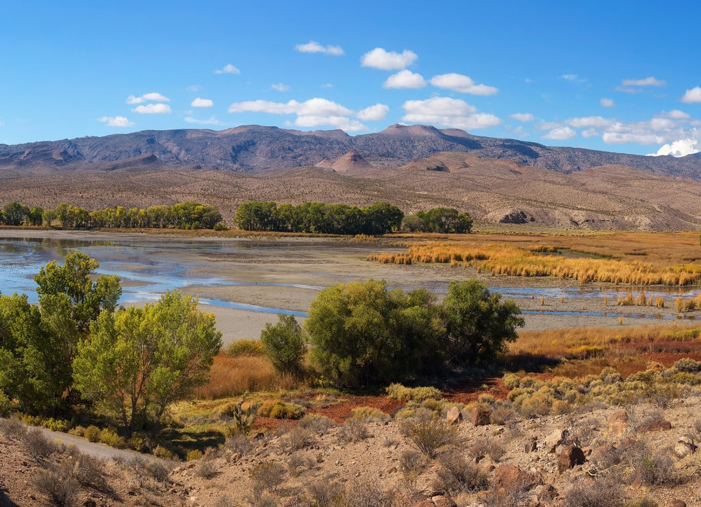 Pahranagat Lake located in the Pahranagat National Wildlife Refuge, Nevada