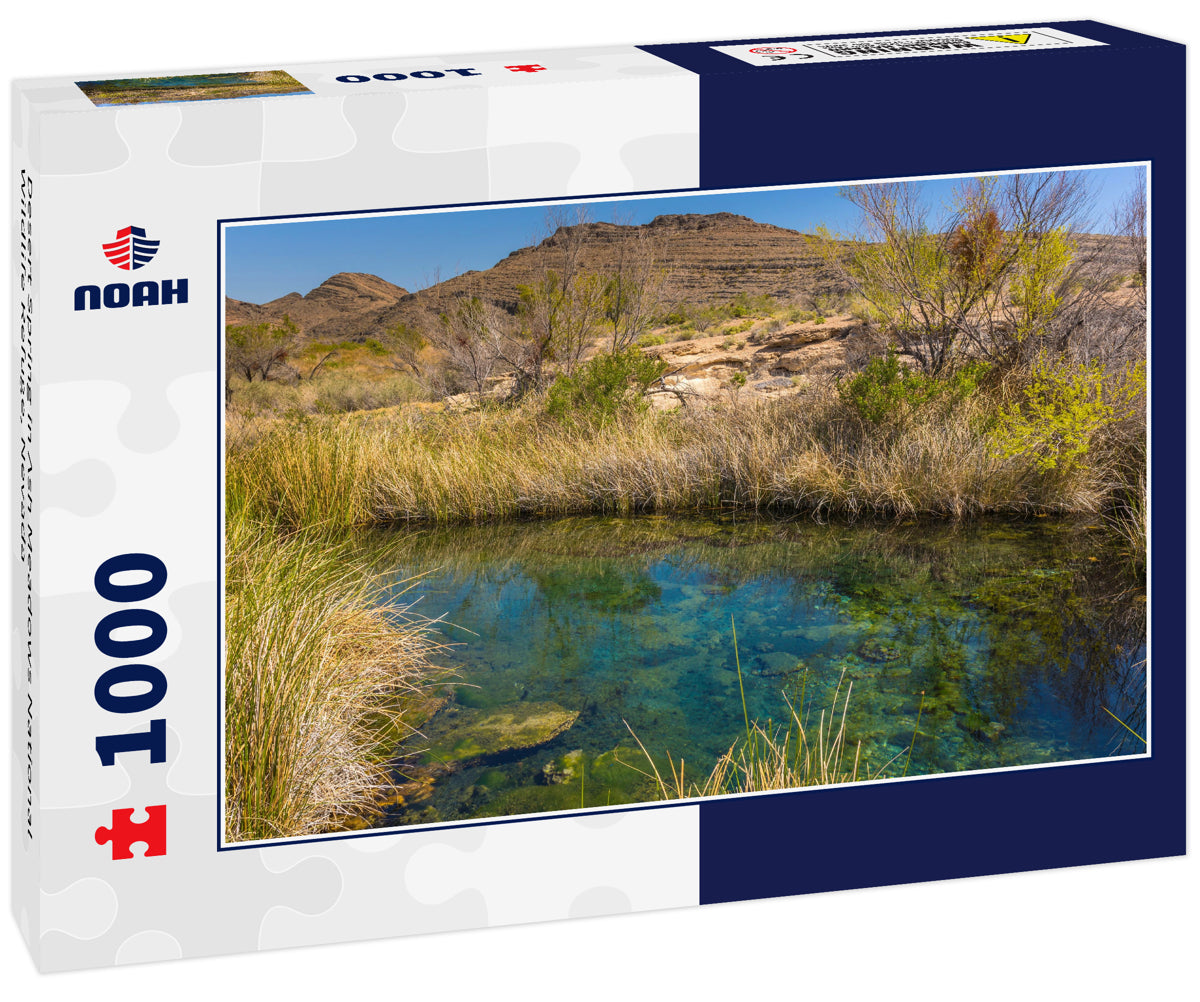 Desert Spring in Ash Meadows National Wildlife Refuge, Nevada