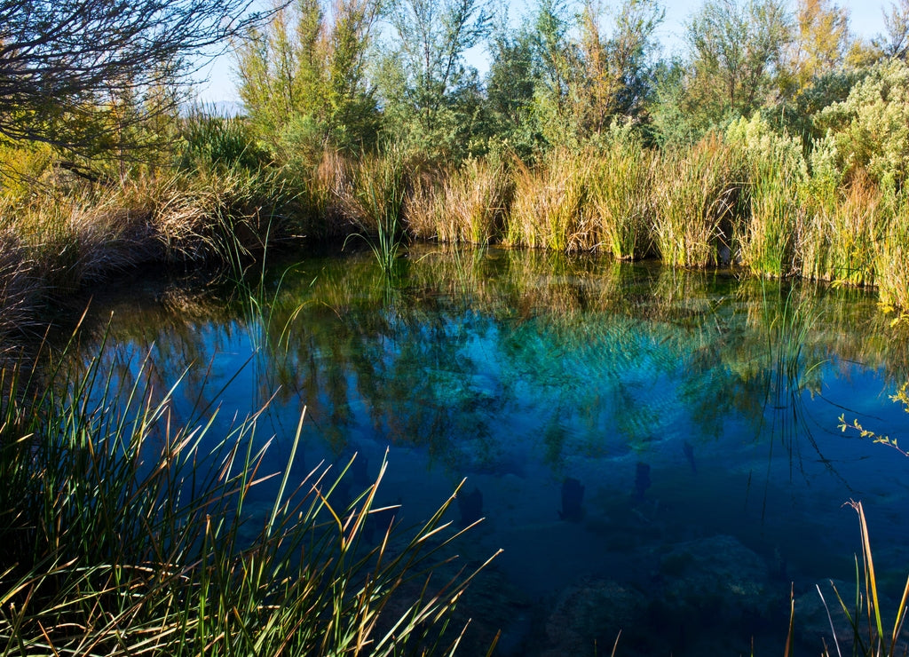 USA, Nevada, Amargosa Valley, Ash Meadows National Wildlife Refuge, Longstreet Spring