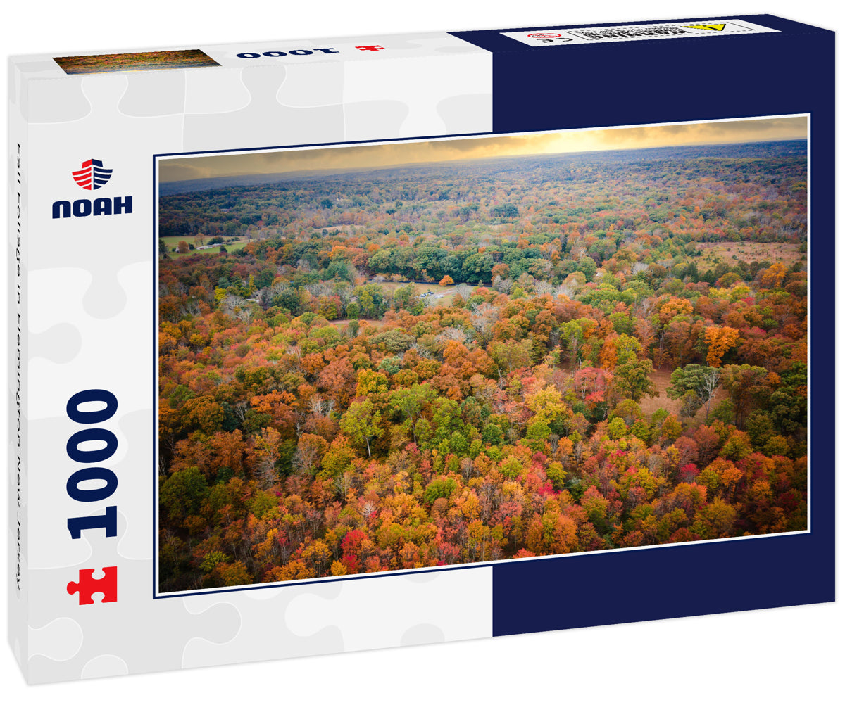Fall Foliage in Flemington New Jersey