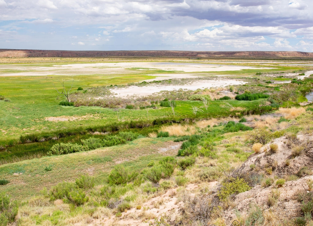 Bitter Lake National Wildlife Refuge in New Mexico, USA