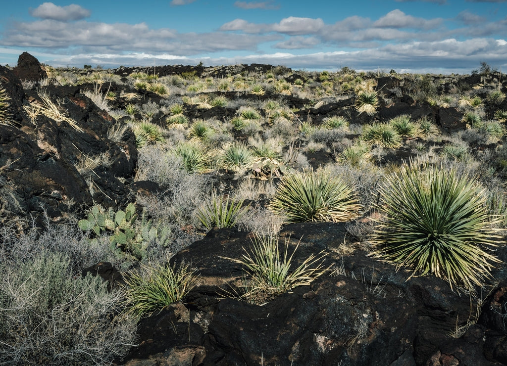Carrizozo Malpais lava flow on the west side of Carrizozo, New Mexico