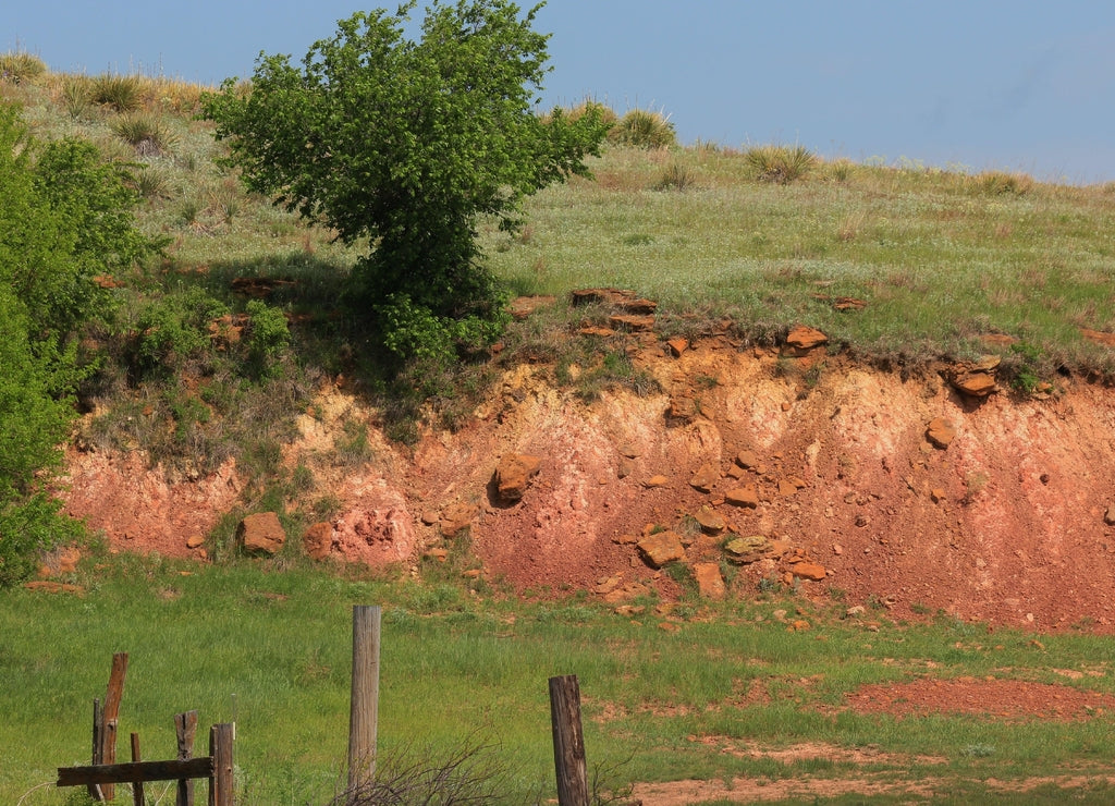 landscape with a fence and trees south of Ellsworth Kansas USA out in the country