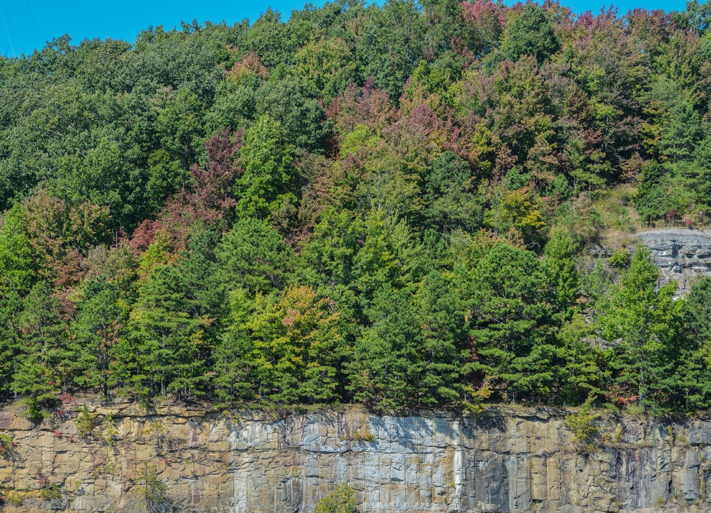 The beautiful hillside of Knott County Mountains in Leburn, Knott County, Kentucky