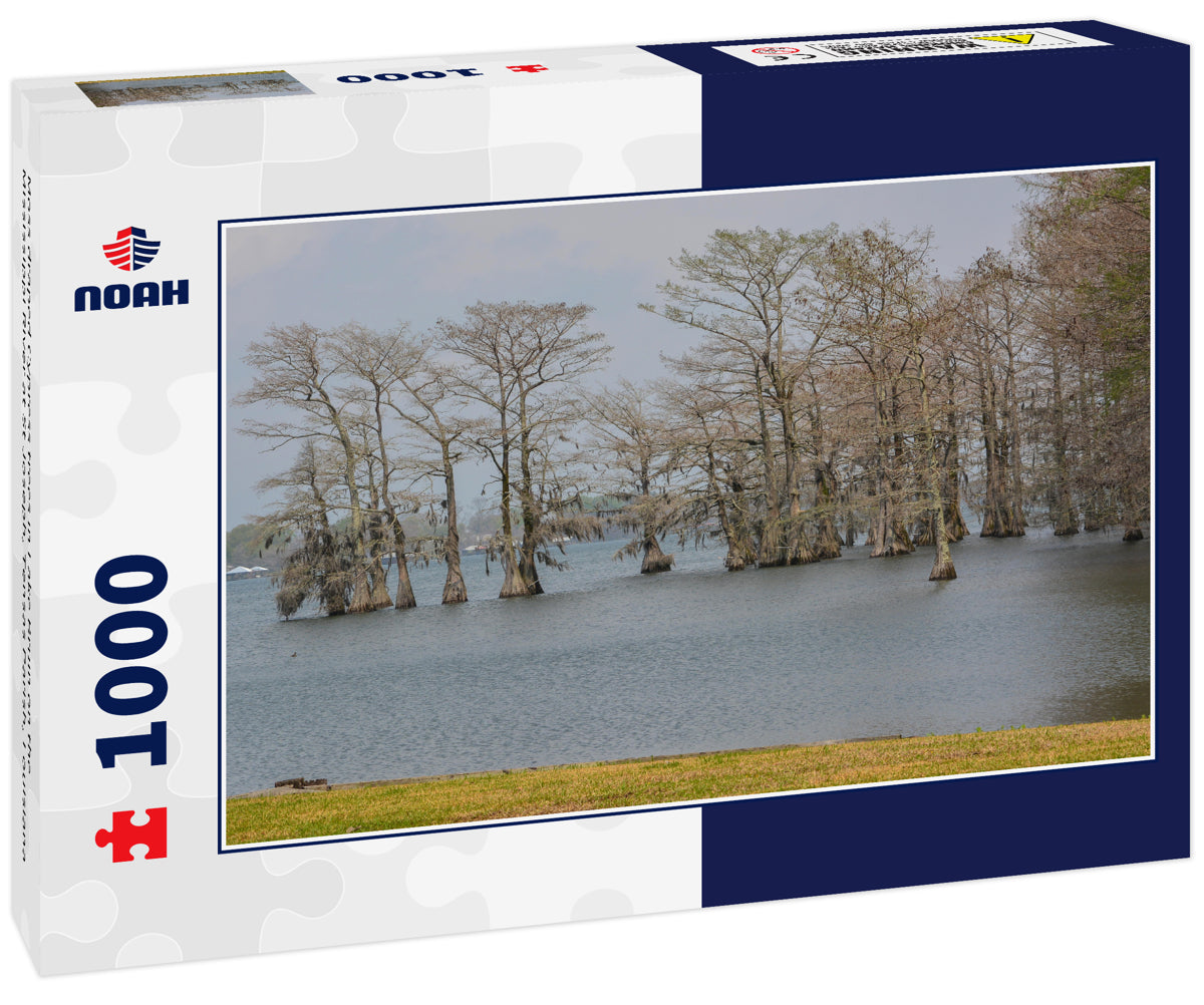 Moss draped Cypress trees in Lake Bruin on the Mississippi River at St Joseph, Tensas Parish, Louisiana