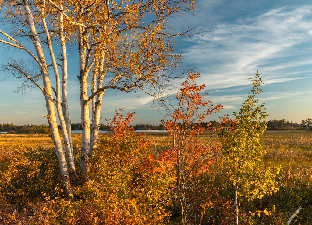 Fall in Seney National Wildlife Refuge, near Paradise, Michigan