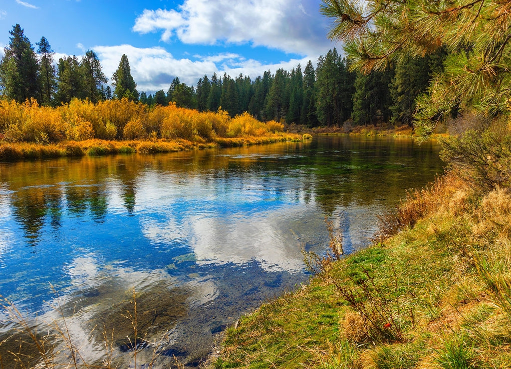 Autumn Colors along the Willimson River, Klamath County Oregon