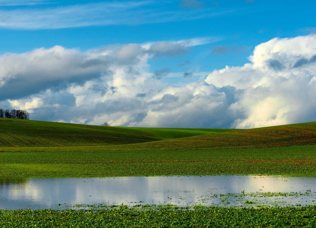 Baskett Slough National Wildlife Refuge landscape