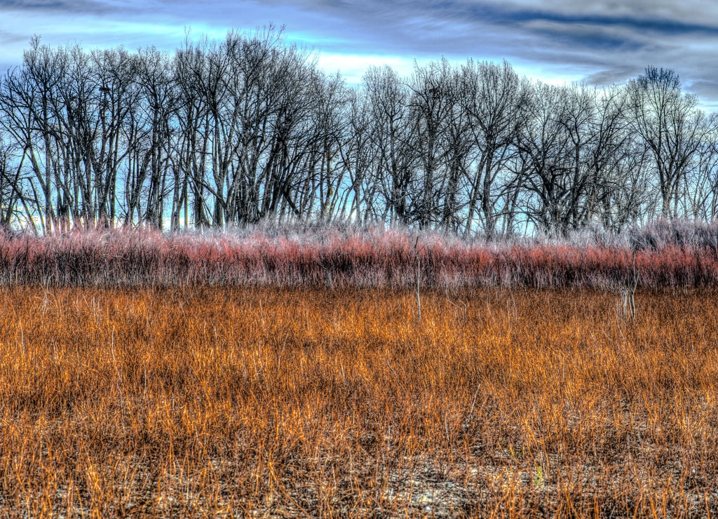 Cold Springs National Wildlife Refuge, Oregon