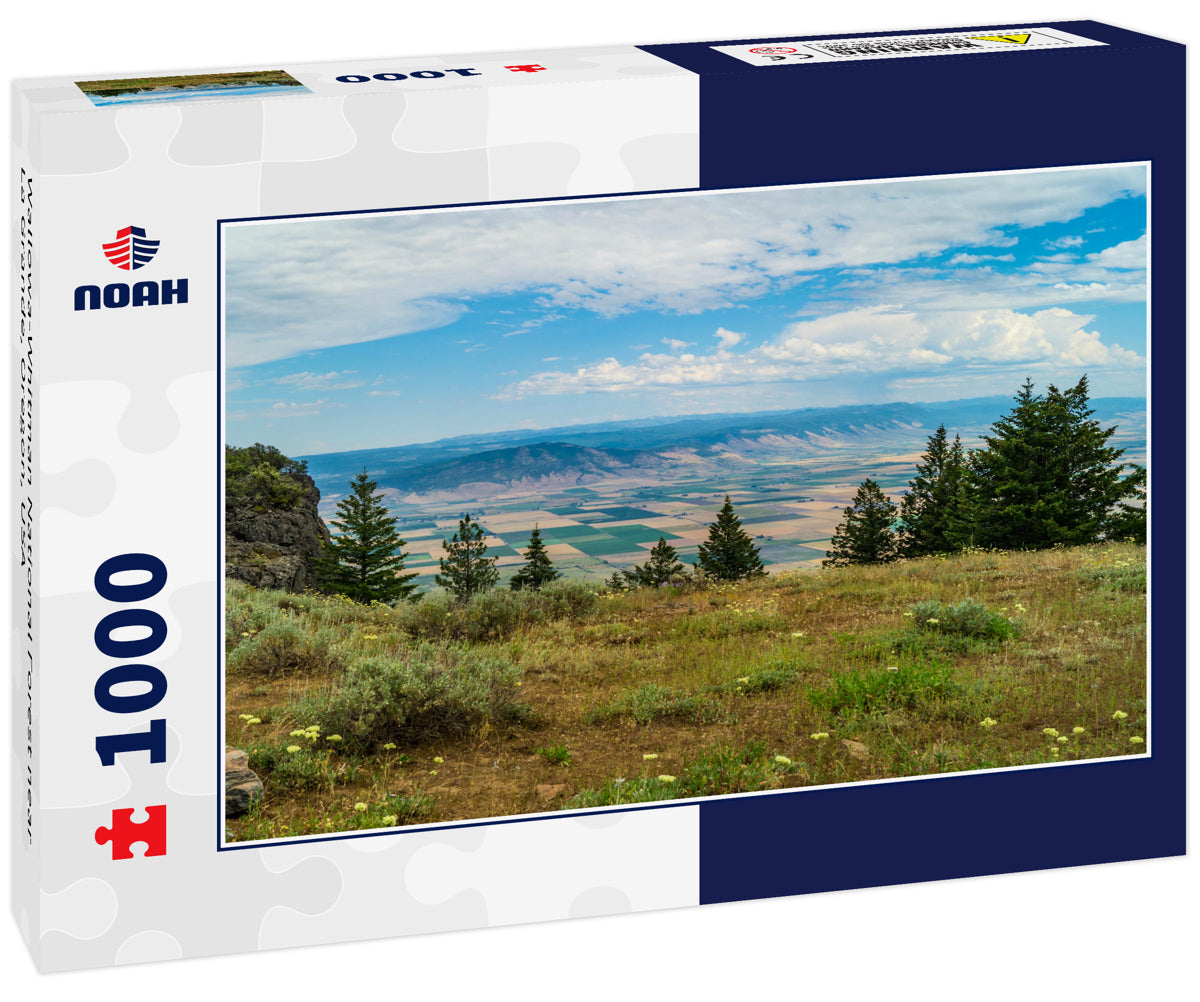 Wallowa-Whitman National Forest near La Grande, Oregon, USA