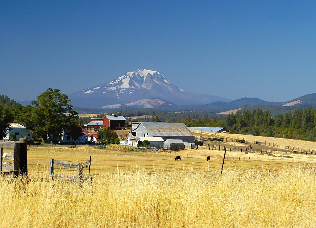 Farmlands, Goldendale, Washington