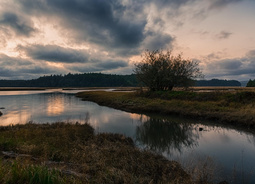 Moody sky reflection in water in twilight. Willapa National Wildlife Refuge, Washington, USA