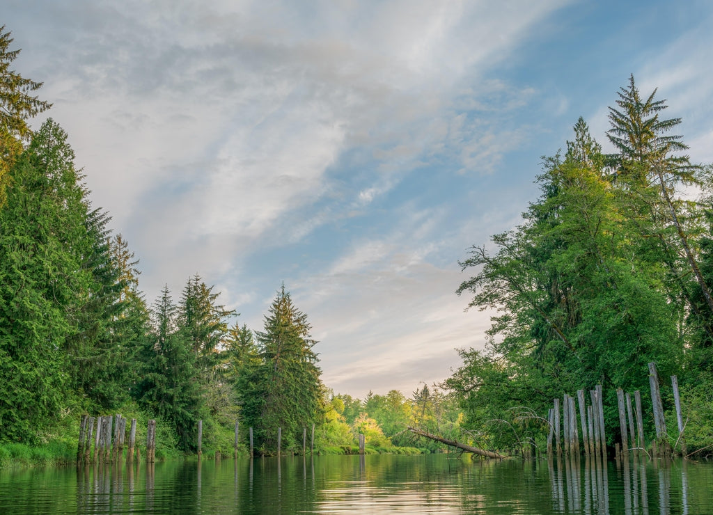 Beautiful and Historice Chehalis River Kayak Trip Montesano, Washington State