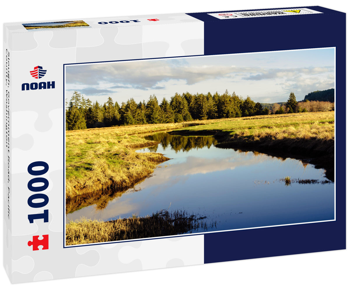 Slough, Government Road, Pacific County, Washington