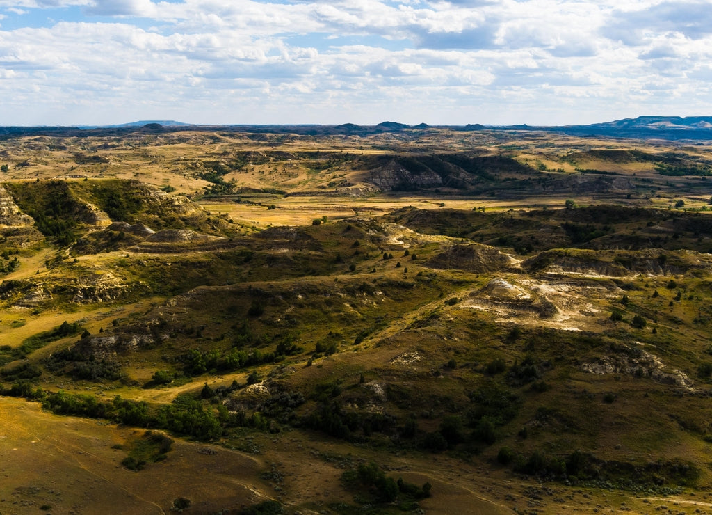 National Grasslands west of Medora, Billings County, North Dakota