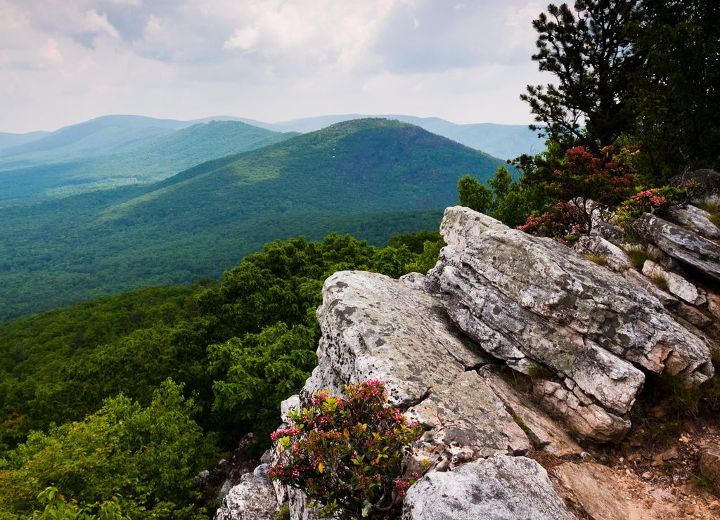 Hiking in George Washington National Forest, Virginia, USA