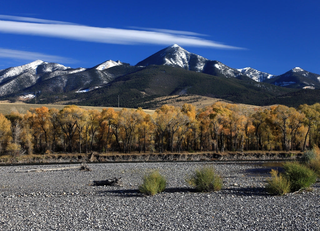 Livingston Montana