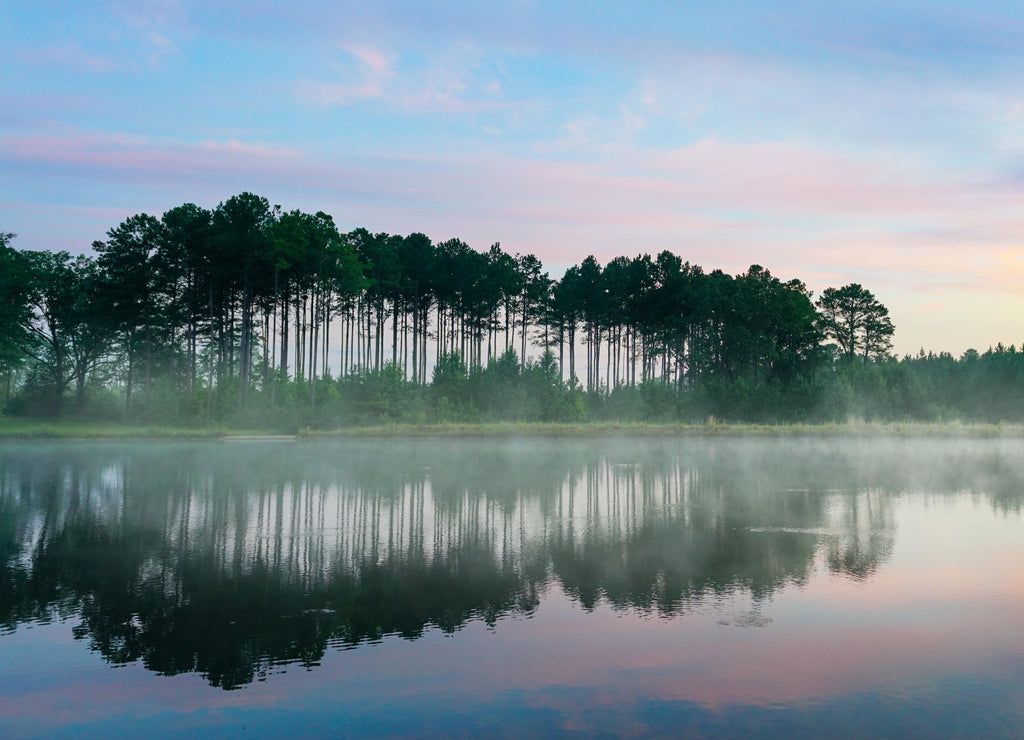 Foggy lake view with trees during sunset near Starkville