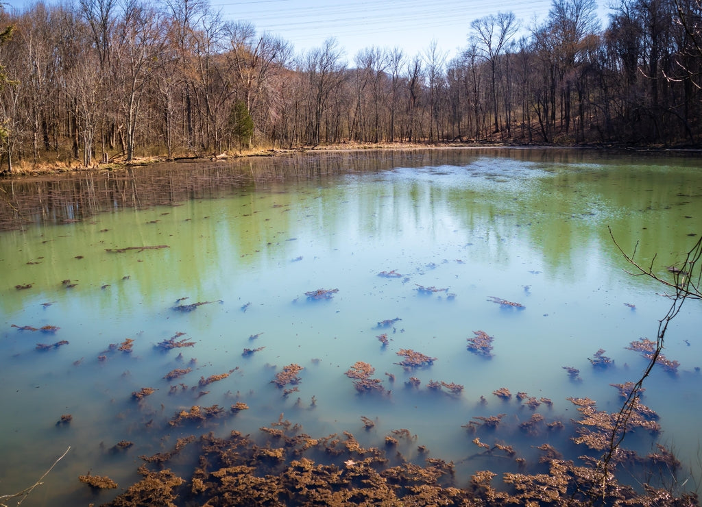 Radnor Lake State Park