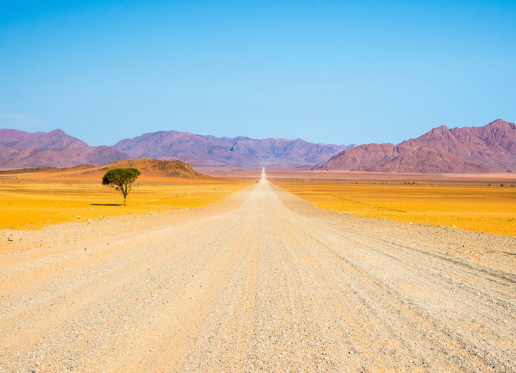 Gravel road crossing the colorful Namib desert, in the majestic Namib Naukluft National Park
