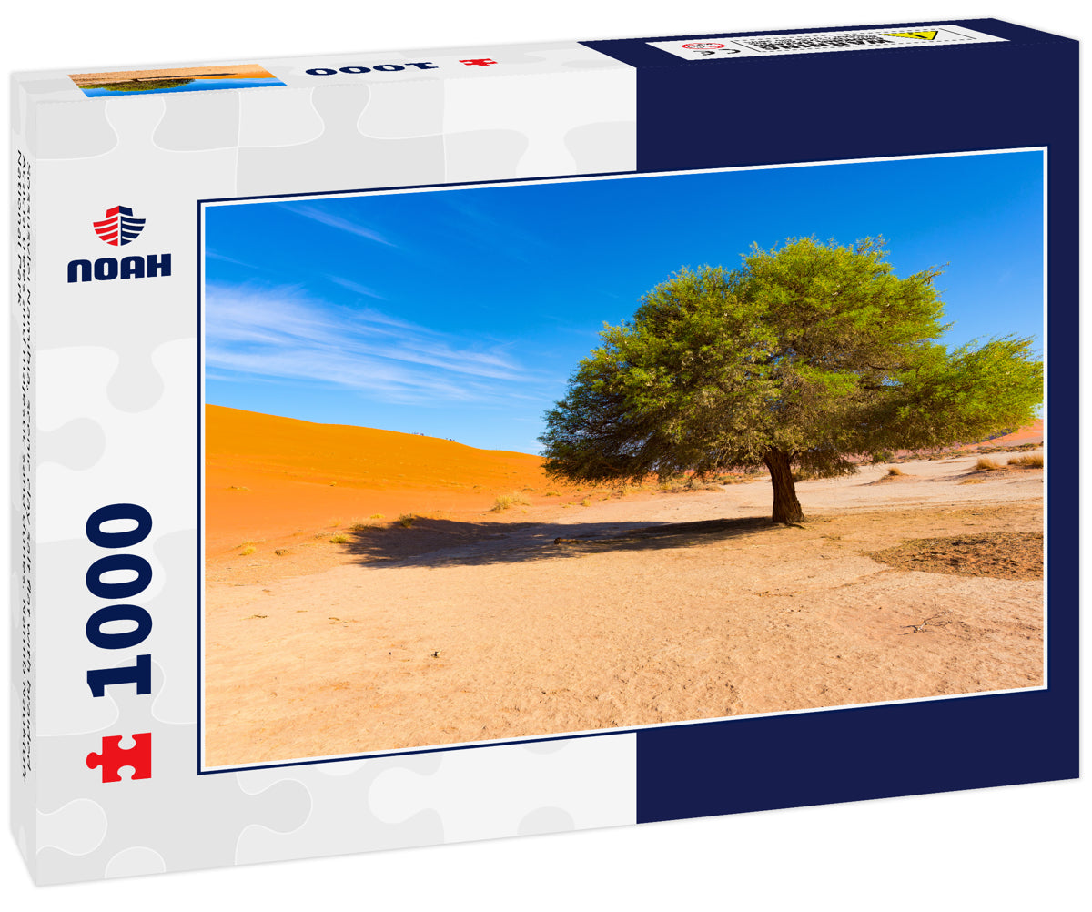 Sossusvlei Namibia, scenic clay salt flat with braided Acacia trees and majestic sand dunes. Namib Naukluft National Park