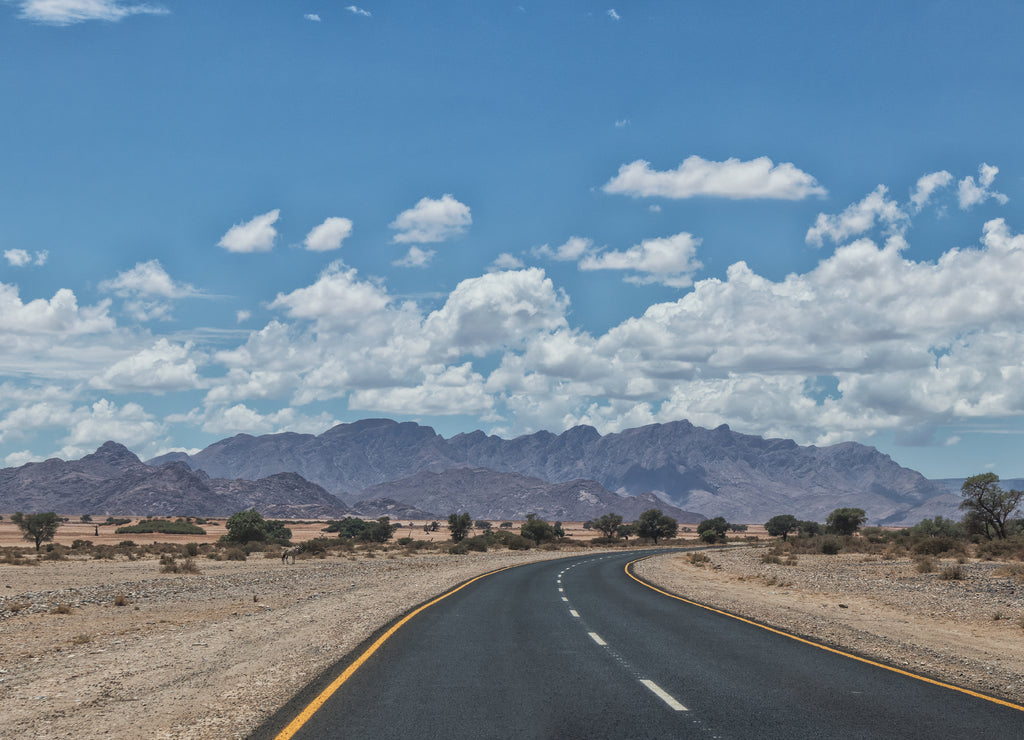Asphalt road with mountains on horizon, Namibia