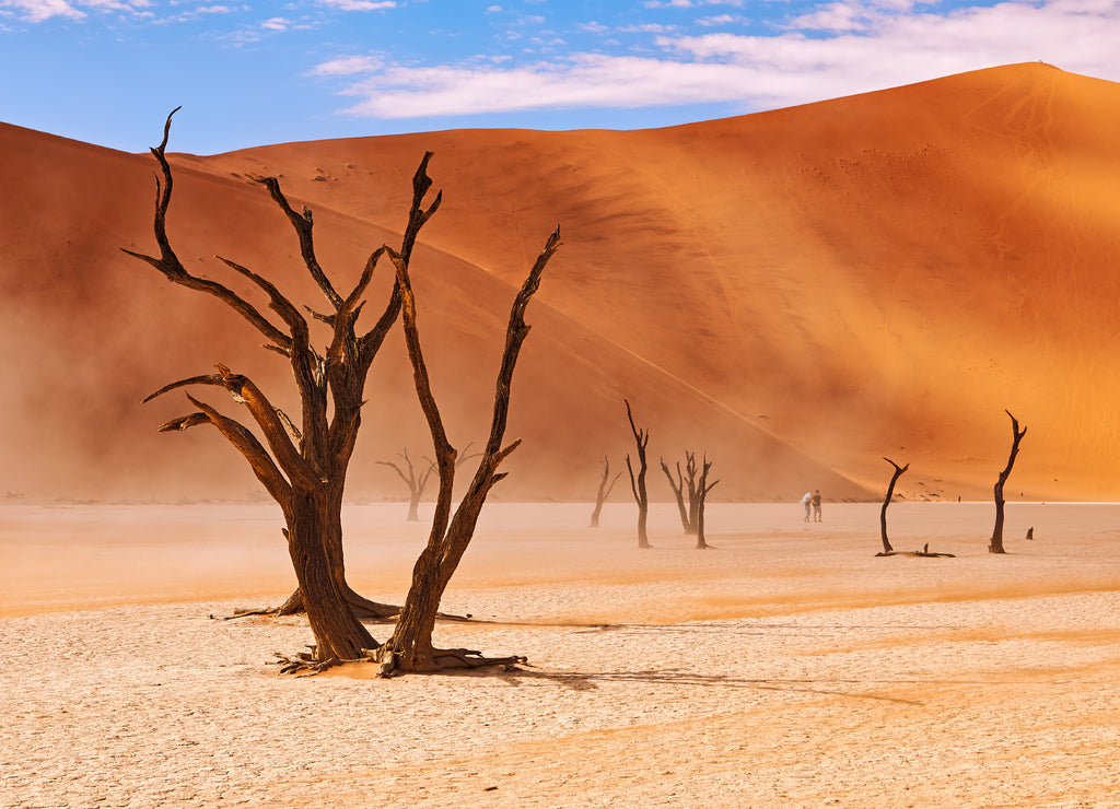 Dead trees at deadvlei in Namibia