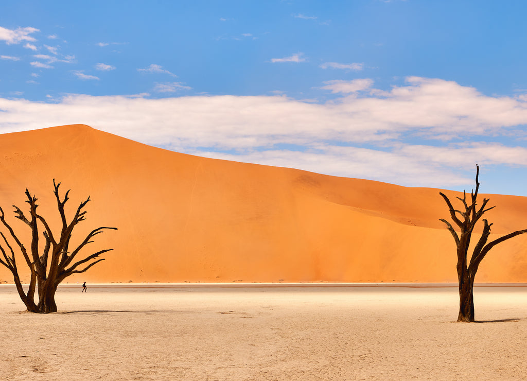 Namibian desert landscape