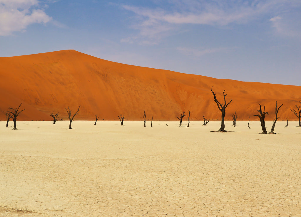 Dead Vlei (Namib-Naukluft Park) - Namibia Africa