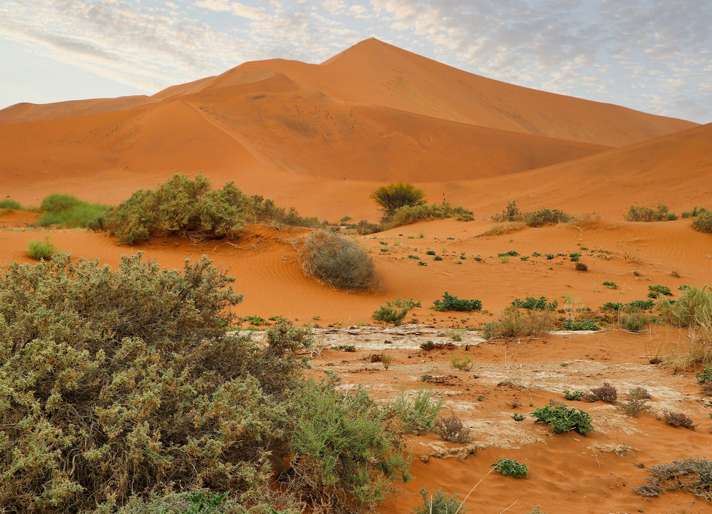 Sossusvlei (Namib-Naukluft Park) - Namibia Africa
