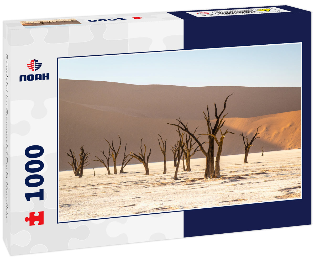 Deadvlei im Sossusvlei Park, Namibia