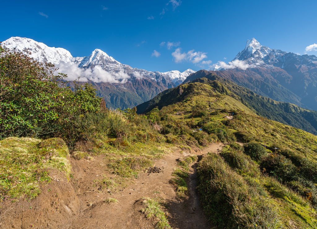 Beautiful trekking trail in Mardi Himal trekking route in Annapurna mountains range subrange of Himalya mountains range, Nepal