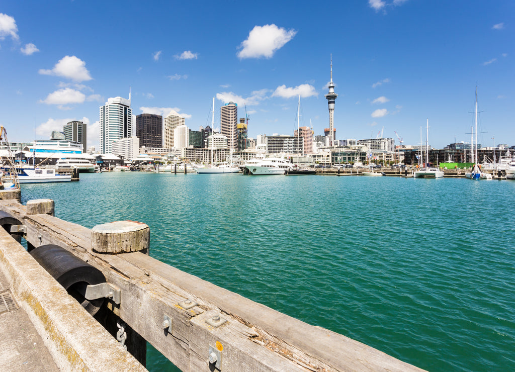 Auckland viaduct harbour and skyline