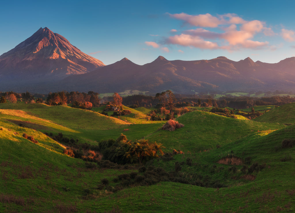 Mount Taranaki under the blue sky with grass field and cows as a foreground in the Egmont National Park, the most symmetrical volcanic cones, Taranaki, New Zealand Green farmland in the foreground
