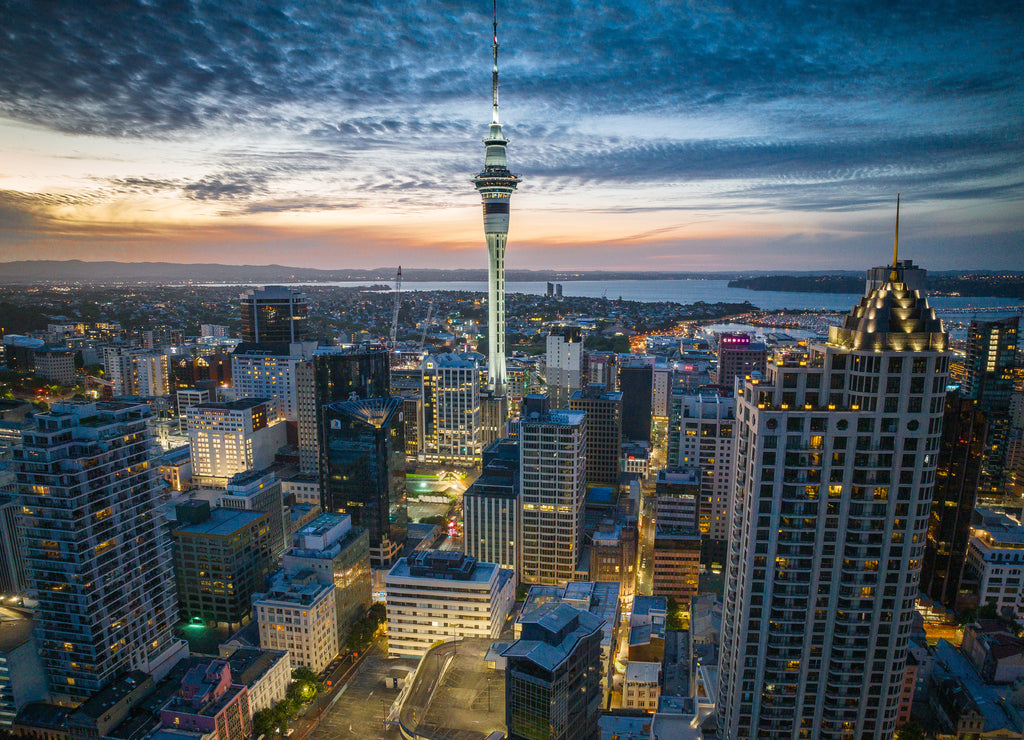 Auckland City New Zealand
