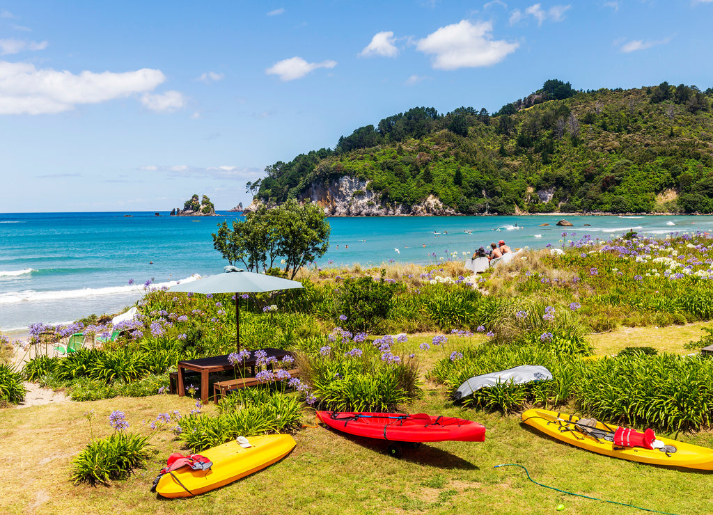 View of Whangamata beach in New Zealand